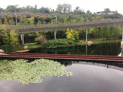 -梅峰山地公园