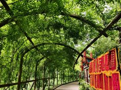 -红螺寺
