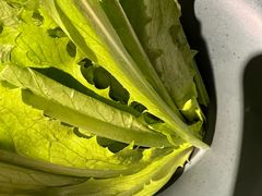 -老灶堂文创火锅(文艺路店)