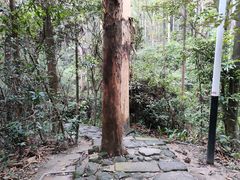 -水濂山森林公园