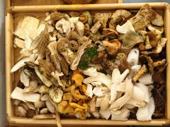 -一朵菌·野生菌探索家火锅(南亚店)