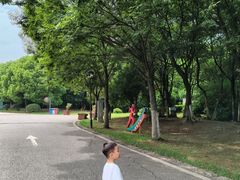 -南京市江宁方山