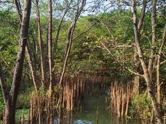 -白沙门生态公园