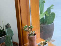 靠窗位-AHAVA·Fang Baking Studio