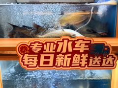 -鱼酷活鱼烤鱼(新世界城店)