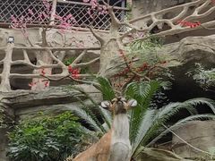 -巴倒烫陆派火锅山庄(南山总店)
