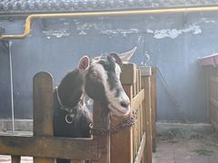 -瑞博尔花园酒店(太周创新产业园店)