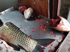 -梅记大块头爆鱼店(乍浦路店)