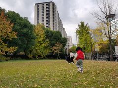 -宋庆龄陵园