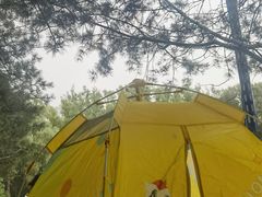 -森林公园(尖草坪区)