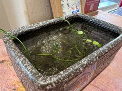 -铁真·刨冰红焖羊肉·正宗老字号