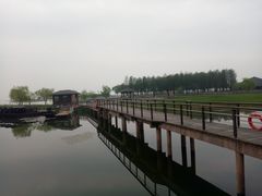 -太湖湖滨国家湿地公园-停车场