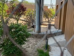 -太原动物园