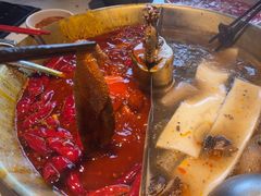 -小龙翻大江文化火锅(宽窄店)
