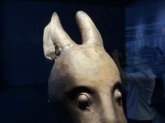 -广西壮族自治区博物馆