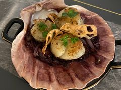 -Hi City·城市之巅