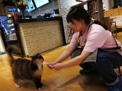 -藏猫猫咖啡主题馆(中央大道店)