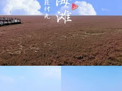 -红海滩国家风景廊道