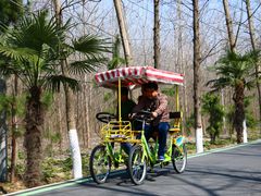 -合肥滨湖国家森林公园