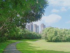 -长白岛森林公园