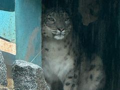 -青藏高原野生动物园