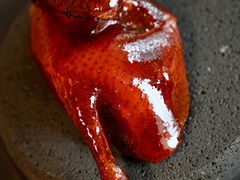 -广州富力君悦大酒店空中花园