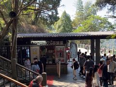 -金盆阿嬷香菇茶叶蛋(玄光店)