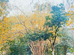 -鼓楼(西湖风景名胜区)