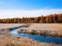 -塞罕坝国家级自然保护区