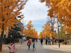 -日本风情街