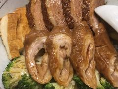 -狮头牌卤味研究所·卤味饭(花城汇南区店)
