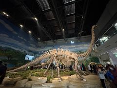 -自贡恐龙博物馆