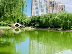 -团结湖公园