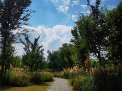 -溱湖国家湿地公园