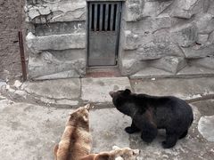 -哈尔滨北方森林动物园