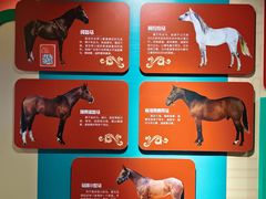 -天津自然博物馆