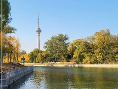 -中央广播电视塔