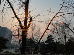 -北京全聚德(天安门店)