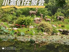 -杭州植物园