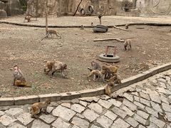 -哈尔滨北方森林动物园