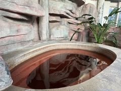 -中家鑫园温泉酒店鑫悦汤泉