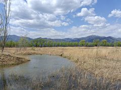 -野鸭湖国家湿地公园