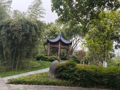 -大渡口区义渡公园