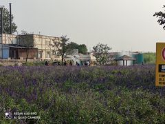 -静之湖湖畔餐厅