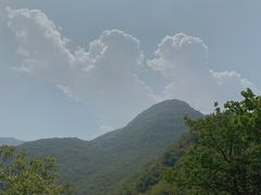 -阳台山自然风景区