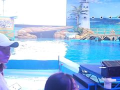 -海合安武汉极地海洋公园