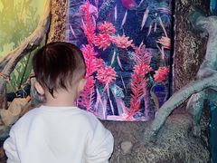 -沈阳海洋探索中心