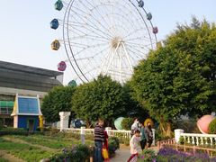 -百万葵园