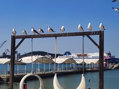 -海驴岛(荣成市)