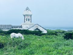 -涉地可支